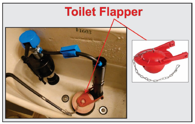 Toilet Flapper
