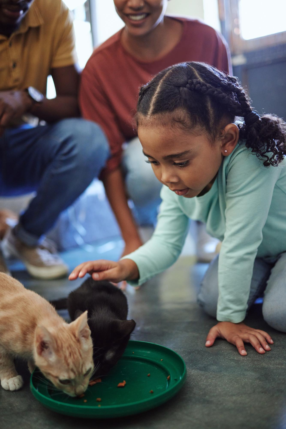 Ensuring Compassionate Accommodations Best Practices for Service and Support Animals V6