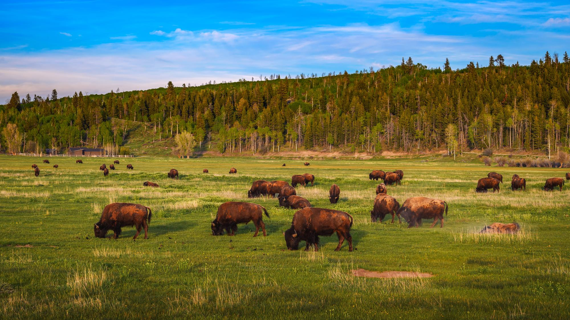 Wyoming-Submetering-and-Utility-Billing-Services